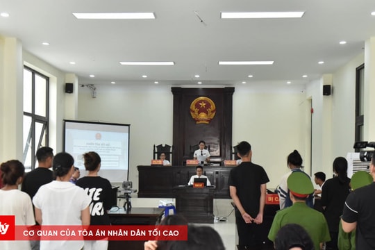 Nhóm thanh niên mới lớn vướng lao lý vì bắt giữ người trái pháp luật