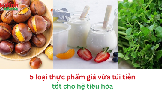 5 loại thực phẩm giá vừa túi tiền tốt cho hệ tiêu hóa