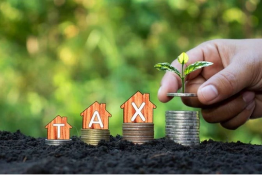 Năm 2024, đối tượng nào không phải chịu thuế bảo vệ môi trường?