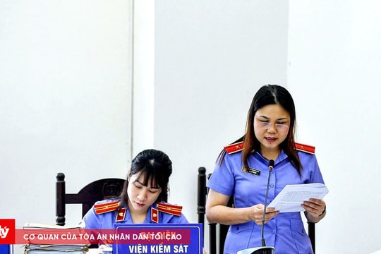 Xét xử phúc thẩm vụ cao tốc Đà Nẵng - Quảng Ngãi: Cựu TGĐ VEC được đề nghị cho hưởng án treo