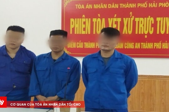 Tổ chức “tiệc” ma túy tại nhà