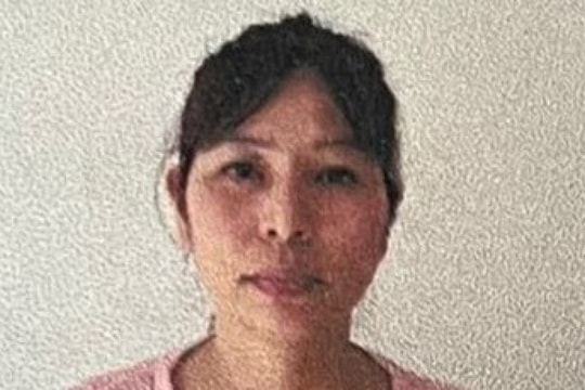 Giúp việc theo giờ kiêm “đạo chích”, trộm tiền, vàng của gia chủ