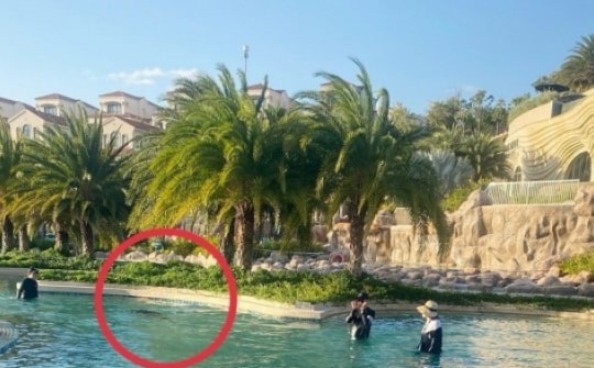 Dừng điều tra vụ bé trai người Nhật chết đuối ở resort 5 sao