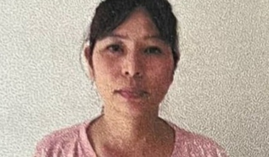 Giúp việc nổi lòng tham trộm trang sức và ngoại tệ của chủ nhà người nước ngoài