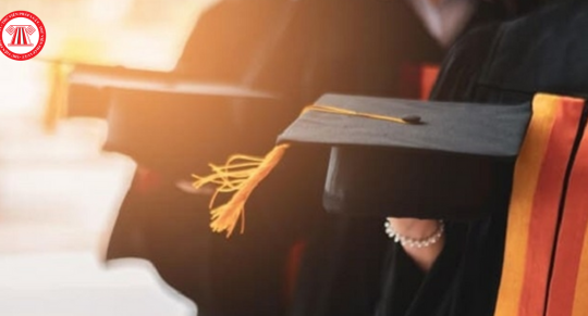 Hướng dẫn xử lý kết quả kiểm tra, thẩm định hồ sơ, luận án tiến sĩ mới nhất