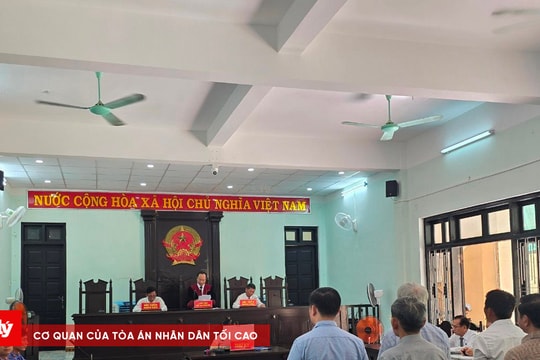 Xét xử vụ án gây thiệt hại cho Nhà nước hơn 11.000m3 gỗ thông