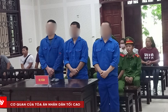 Lĩnh án vì nhận chở thuê người xuất, nhập cảnh trái phép