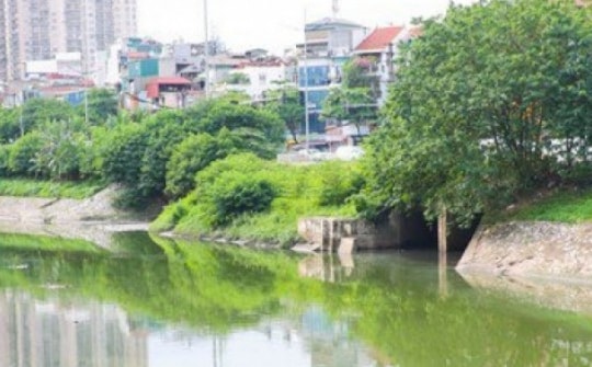 Nước sông Tô Lịch bỗng chuyển sang màu xanh lục