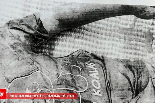 Truy tìm tung tích nạn nhân tử vong ở khu vực sông Tả Lạch Trường