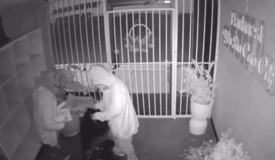 Một nữ nghệ sĩ Việt tại Mỹ thất thần khi nửa đêm bị trộm cắt cửa đột nhập lấy sạch hàng hóa