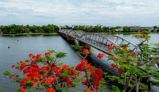 Cố đô Huế rực rỡ mùa phượng vĩ nở hoa