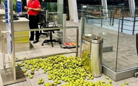 Khoảng 10kg xoài, cóc vãi đầy trên sàn nhà ga sân bay Nội Bài