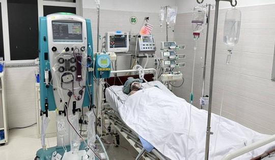 Người đàn ông 36 tuổi suy đa tạng nguy kịch sau khi bị mò đốt