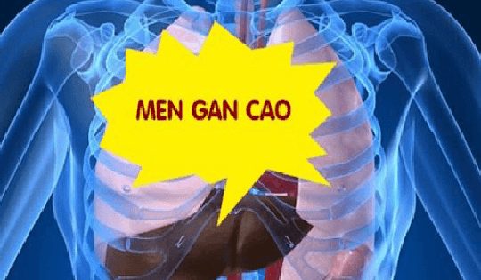 6 triệu chứng tăng men gan thường gặp