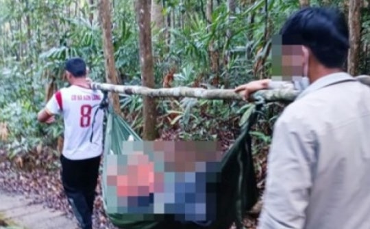 Cây rừng đổ, nữ du khách chết khi tham quan thác K50