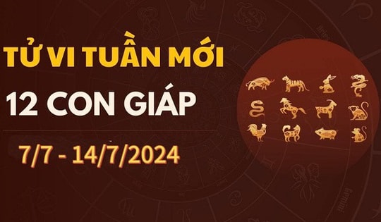 Tử vi tuần mới 12 con giáp từ 7/7 - 14/7/2024: Dần gặp phiền phức, Ngọ hanh thông