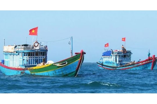 TOÀN VĂN: Nghị quyết hướng dẫn về truy cứu trách nhiệm hình sự đối hành vi khai thác, mua bán, vận chuyển trái phép thủy sản