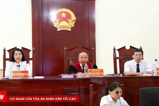 Lĩnh án vì ném chất bẩn vào nhà người khác