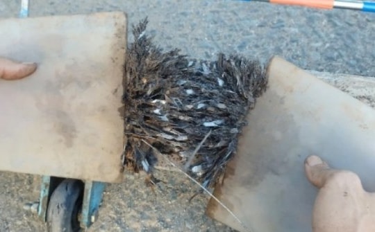 Buổi tối đi hút sạch đinh, sáng ra 'đinh tặc' đã rải ở cầu vượt Linh Xuân