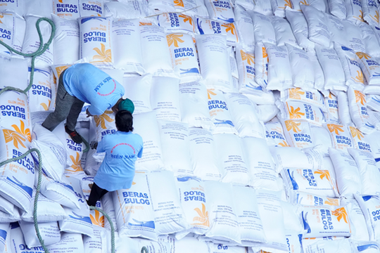 Bulog bị cáo buộc thổi giá gạo, liên quan gì đến Tân Long Group?