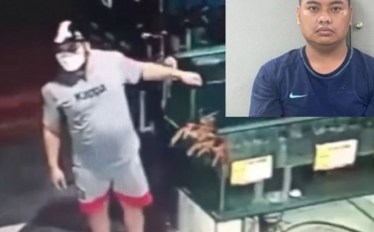 Siêu trộm tôm hùm gây xôn xao ở Hà Nội đã sa lưới