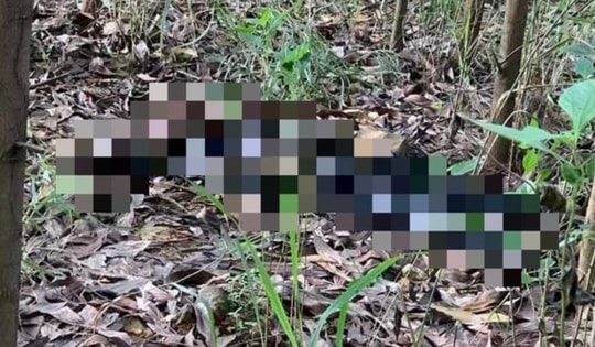 Người dân phát hiện thi thể mặc quần bò đang phân huỷ mạnh trong rừng