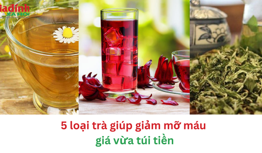 5 loại trà giúp giảm mỡ máu giá vừa túi tiền