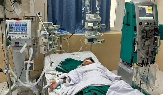 Sau nôn, sốt, đi ngoài không dứt, bé trai 10 tuổi sốc nhiễm khuẩn nguy hiểm tính mạng