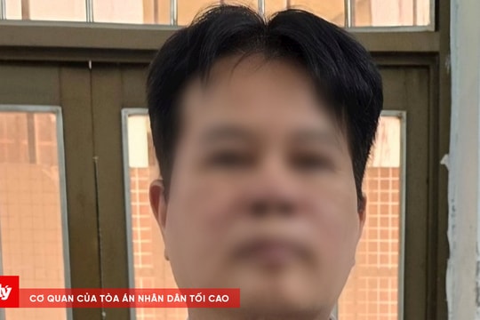 Bắt giám đốc điều hành 3 công ty có hành vi trốn thuế