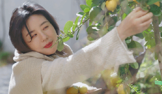 Hạnh phúc vẹn tròn trong ngôi nhà 2 thế hệ toàn là phụ nữ: Rộng 500m2, thiết kế tối giản, gam màu nhẹ nhàng