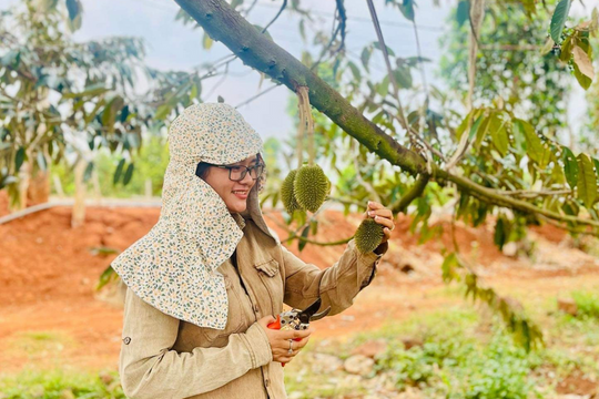 Chuyện khởi nghiệp của "O Huyền sầu riêng" vừa gây bão drama trong phiên live của "Hằng Du Mục": 2 lần vỡ nợ, bỏ phố về quê lập công ty giúp nông dân thoát cảnh "được mùa mất giá"