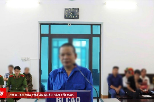 Phá rừng để sửa nhà