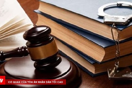 Cặp đôi lừa tiền của hàng trăm học viên thi chứng chỉ ngoại ngữ