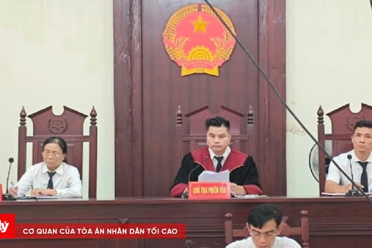 Rủ nhau đi cướp giật tài sản lấy tiền tiêu xài