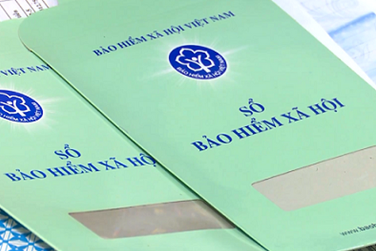 Khẩn trương rà soát tình hình doanh nghiệp chậm, trốn đóng BHXH