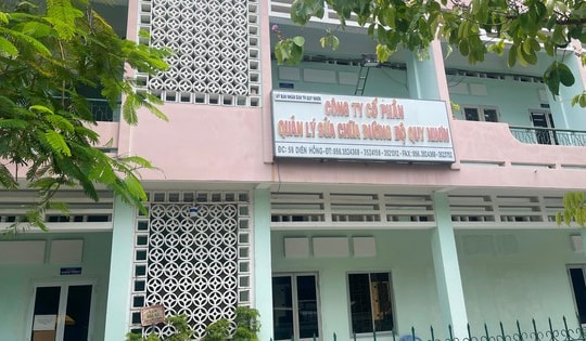 Khởi tố vụ án tham ô tài sản tại doanh nghiệp tự ý chiếm dụng 2,2 ha đất ở Quy Nhơn