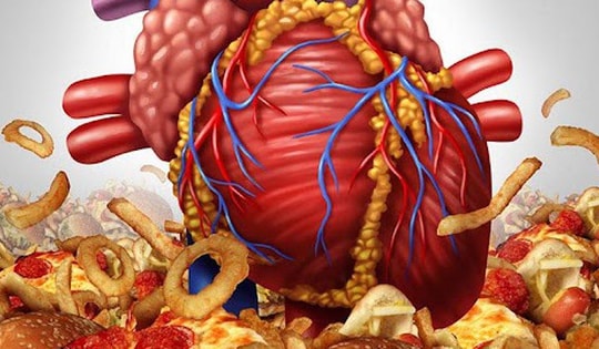 3 mối nguy hại của chất béo chuyển hóa đối với sức khỏe