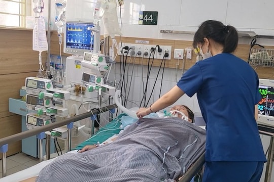 Tử vong vì uống nhầm thuốc sắc từ rễ cây lá ngón