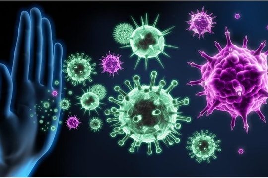 Thủ tướng yêu cầu tăng cường phòng chống bệnh bạch hầu