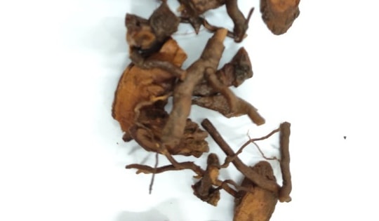 Người phụ nữ 46 tuổi ở Hà Tĩnh tử vong do uống nước từ rễ cây phơi khô để chữa bệnh