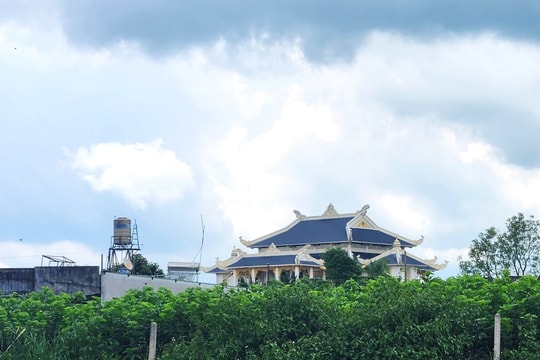 Người dân phản ánh trực tiếp vi phạm với Quyền Bí thư, UBND tỉnh chỉ đạo khẩn trương xử lý