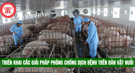 Triển khai các giải pháp phòng chống dịch bệnh trên đàn vật nuôi