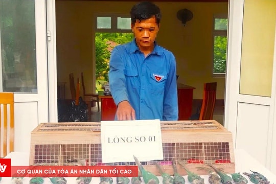 Bắt giữ 5 đối tượng vận chuyển trái phép động vật sang biên giới