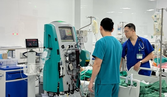 Đang ngồi trong nhà, bé gái 13 tuổi bị ong đốt vào mi mắt nguy kịch