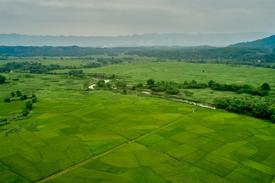 Chuyển đổi mục đích đất, phục vụ phát triển đô thị