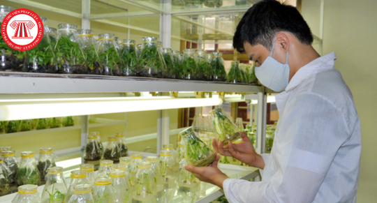 Yêu cầu đối với nhiệm vụ khoa học và công nghệ Bộ Nông nghiệp và PTNT