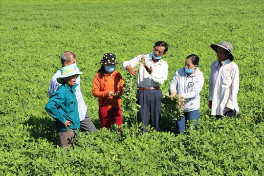Quy định về hỗ trợ đào tạo nghề, tìm kiếm việc làm cho người có đất thu hồi từ 01/8/2024