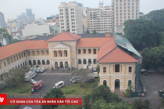 Hoàn tất công tác chuẩn bị xét xử 254 bị cáo trong vụ án tại Cục Đăng kiểm