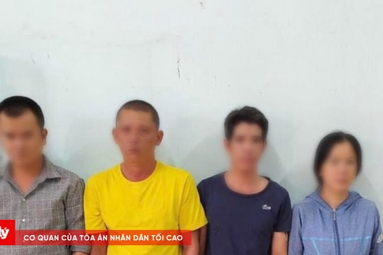 Khởi tố nhóm đối tượng cá độ bóng đá với số tiền hơn 3,5 tỷ đồng