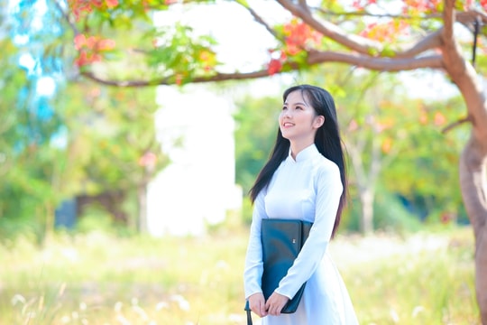 THI TỐT NGHIỆP 2024: Phổ điểm Tổ hợp C00 (Văn, Sử, Địa)